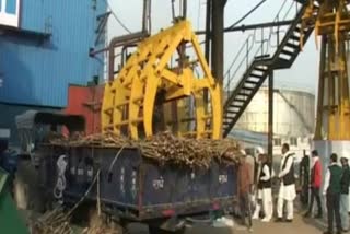 sugarcane crushing session start in Yamunanagar Saraswati sugar mill