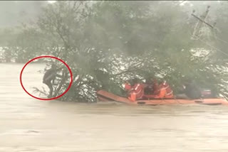 farmers issue news  flood news  ആന്ധ്രയില്‍ വെള്ളപ്പൊക്കം  കര്‍ഷകൻ ഒഴുക്കില്‍പ്പെട്ടു