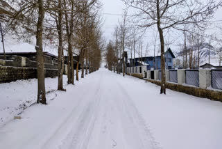 Manali covered in blanket of snow