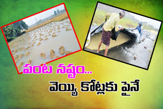 crops damage in ap