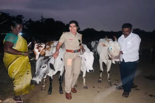 livestocks illigal transport in kalburgi news