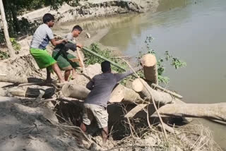 public self help made river bank