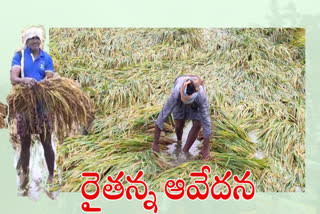 నివర్ మిగిల్చిన నష్టం తీర్చేదెవరు?