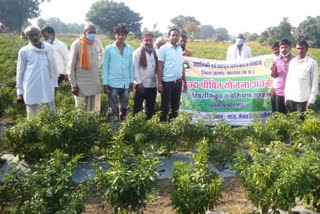 training given to farmers