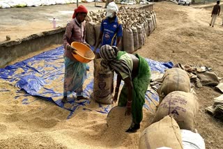 farmers-angry-over-disruption-in-token-distribution-under-paddy-purchase-in-chhattisgarh