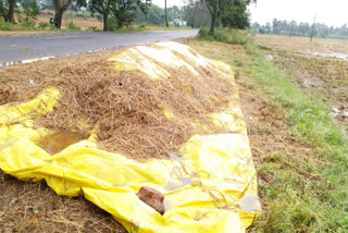 nivar cyclone effect on west godavari