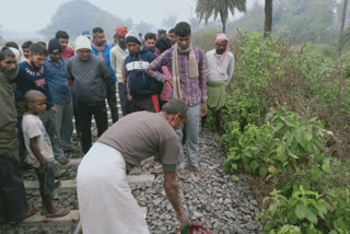 मुजफ्फरपुर