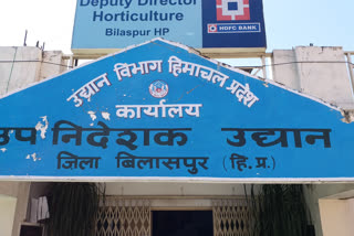 Horticulture Department Bilaspur