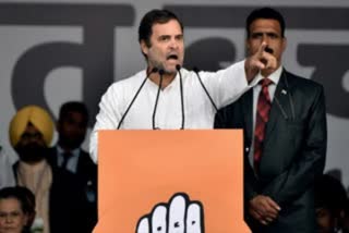 No govt in the world can stop farmers fighting 'battle of truth': Rahul