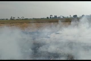 ಭತ್ತದ ಹುಲ್ಲಿಗೆ ಬೆಂಕಿಯಿಂದ ಪರಿಸರಕ್ಕೆ ಹಾನಿ