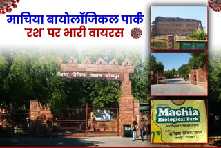जोधपुर के पर्यटन स्थल,  Tourist places of Jodhpur, माचिया बायोलॉजिकल पार्क जोधपुर, Desert tour in Rajasthan,  Tourist places of Surya Nagari Jodhpur,  Rajasthan Tourism