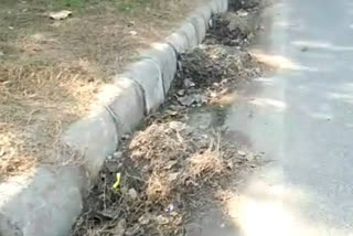 Garbage dump on the roadside in Palam