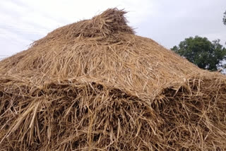 farming in gondiya