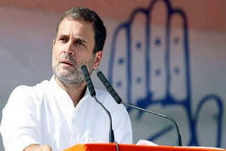 Rahul Gandhi slams central govt  Rahul Gandhi tweet about Farmers protest  Farmers Protest against Farm Bill