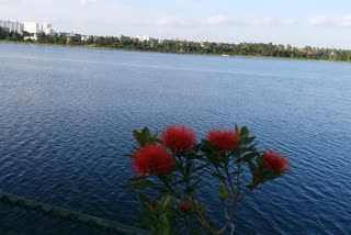 ಕಲ್ಕೆರೆ ಕೆರೆ