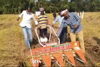 farmer using rapper machine to cutting rice