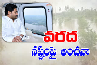 cm jagan