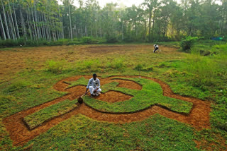 പാണലാട് വയൽ ചിഹ്നം വാർത്ത  എകെ മധു തെരഞ്ഞെടുപ്പ് വാർത്ത  പാണലാട് ആറാം വാർഡ് സ്ഥാനാർഥി വാർത്ത  മണ്ണിൽ അരിവാൾ ചുറ്റിക നക്ഷത്രം കണ്ണൂർ വാർത്ത  വ്യത്യസ്തത തെരഞ്ഞെടുപ്പ് ചിഹ്നം വാർത്ത  farmer made hammer sickle and star logo news  Kannur candidate panaladu news  local election kerala 2020  nattuporaattam 2020 news  suresh babu and madhu kannur news  variety party sign news