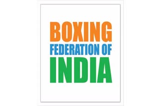 Boxing Federation of India to hold elections on December 18