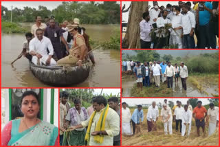 'పంట నష్టపోయిన రైతులను ఆదుకుంటాం'