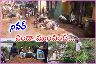 nivar cyclone effect on kadapa