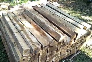 nagaon wood_seized