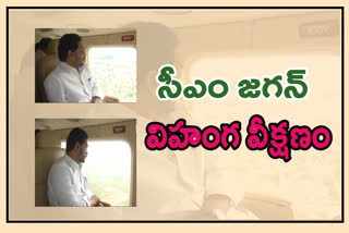 AP CM Jagan Aerial Survey of Nivar Cyclone Affected Areas