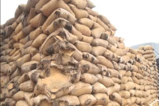 80-thousand-quintals-of-paddy-rot-in-3-storage-centers-of-kanker