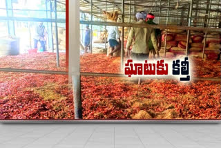traders are committing fraud on chilli at the Guntur Market Yard Center