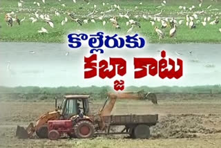 the lake changed into salt in kolleru at west godavari district