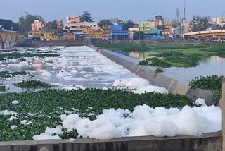 vaikai river