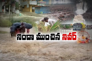 heavy-crop-loss-in-north-andhra-over-niver-storm