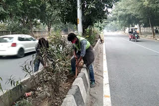 Workers cleaning the dividers