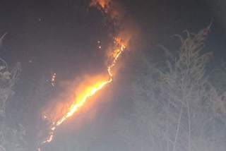 Almora forest fire news