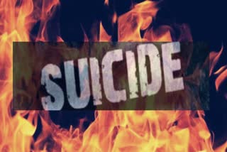 suicide case in bilaspur