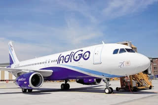 Indigo flights