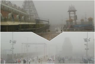 Beauty of the snow at Tirumala hills