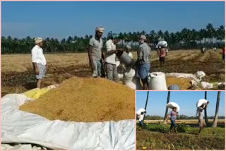 Farmers were engrossed