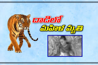 second person was killed in a tiger attack in the komaram bheem district