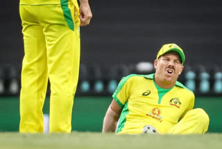 David Warner  Groin injury  India vs Australia  വാര്‍ണര്‍ക്ക് പരിക്ക് വാര്‍ത്ത  വാര്‍ണര്‍ പുറത്ത് വാര്‍ത്ത  warner injured news  warner out news