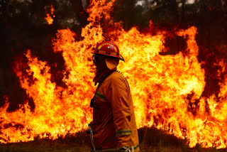 Fire in liquor factory in Madhya Pradesh injures two