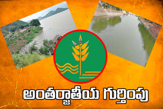 International respect for AP state ponds