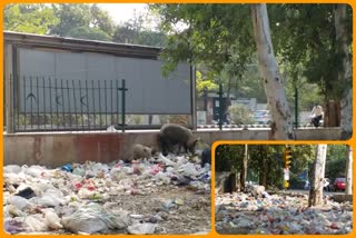 Janakpuri park becomes dumping yard in delhi