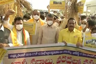 tdp protest at sachivalya fire station