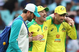 David Warner has been ruled out limited overs series against India