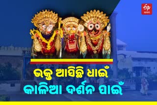 ରାଜରାଜେଶ୍ବର ବେଶରେ ମହାବାହୁ, ଦର୍ଶନ ପାଇଁ ଶ୍ରୀକ୍ଷେତ୍ରକୁ ସୁଟୁଛି ଭକ୍ତଙ୍କ ସୁଅ