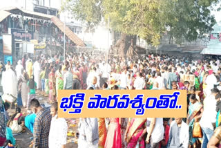 kartheeka monday devotees in the Rajanna temple siricilla