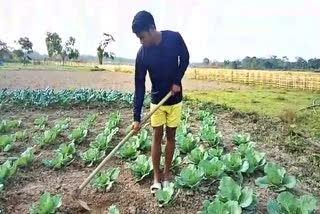 people engaged with agricultural work