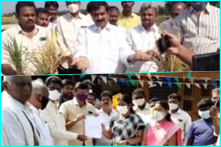 tdp leaders visit crop damaged areas in krishna district