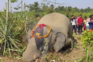 ছবি